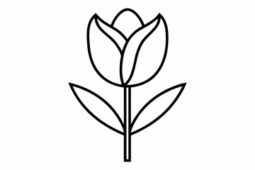 Tulip Flower Outline Vector Illustration With White