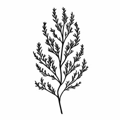 Fototapeta premium Leafy Botanical Illustration. Organic, Eco-friendly Design with Foliage and Floral Artwork