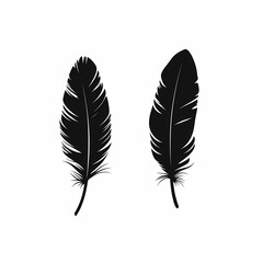 Black Feather Illustration. Elegant Graphic Design for Nature-Inspired Art & Home Decor