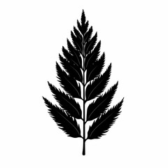Obraz premium Elegant Botanical Fern Silhouette. Minimalist Vintage Black Leaf Pattern for Cardmaking and Decorative Design