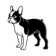 French bulldog compact dog silhouette breed
