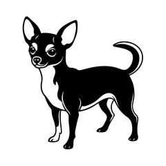 Chihuahua small dog breed silhouette vector