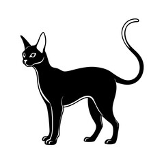 Abyssinian cat breed silhouette illustration