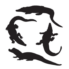 Silhouette of crocodile and alligator vector icon set illustration isolated on white background.