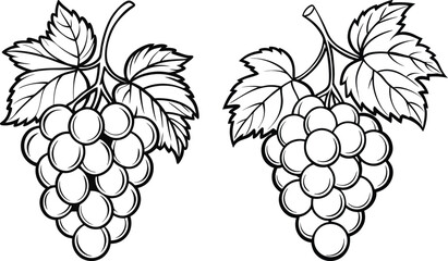 Grapes with Leaves, Black and White Vector Illustration
