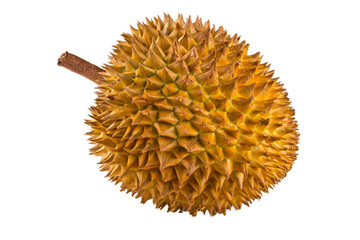king fruit or durians isolated on white. png image