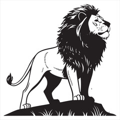 Lion Vector