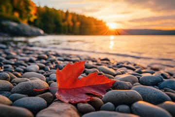 Vibrant red leaf rests on smooth lake rocks at sunset
