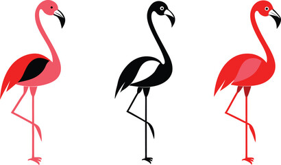 flamingo on white background