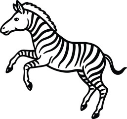 zebra vector illustration