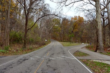 The road in the countryside on a autumn day.
