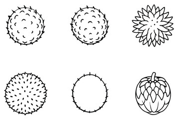 rambutan line art with detailed texture and style