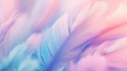 Obraz premium Pastel Pink and Blue Feathers Abstract Background
