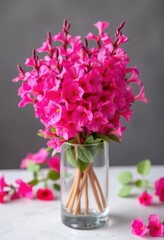 Obraz premium Vibrant pink salvia blossoms in a glass vase, a colorful floral display, floral arrangement, delicate