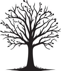 Obraz premium a black silhouette of a tree with bare branches and leaves