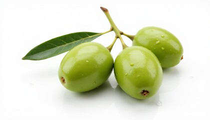 Obraz premium Green olives with drops of water on a branch on a white background