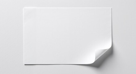 Blank white paper with a curled edge on a neutral background  
