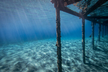 Red Sea life | Egypt | Marsa Alam | Hurghada | Scuba