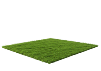 A vibrant patch of lush green grass, perfectly isolated and set against a clean white backdrop