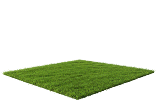 A vibrant patch of lush green grass, perfectly isolated and set against a clean white backdrop
