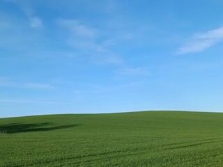 Expansive green fields under a sunny blue sky, conveying a sense of openness and natural beauty, suitable for agricultural, outdoor, or landscape themes.
