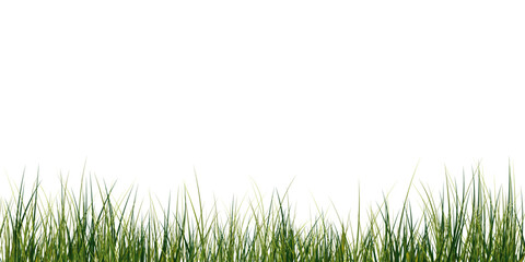 Fototapeta premium Lush Green Grass. Natural Grass Patch.Transparent Grass Overlay. Spring Green Lawn. Eco Grass Element.