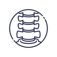 Illustration of a spine symbolizing spinal health and alignment.