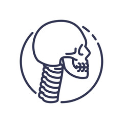 Illustration of a human skull and cervical spine, symbolizing anatomy and spinal health.