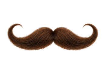 Detailed illustration of a mustache isolated on white background