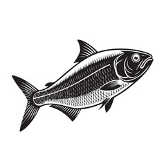 Obraz premium A Vector Silhouette Hilsa Fish White Background 