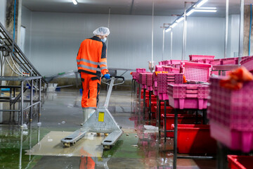 Factory workers in fish and seafood factory are moving food and lifting things into the fish...