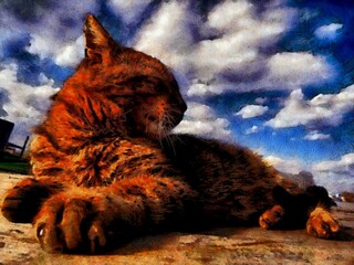 A cat in a pose like Egyptian swing 