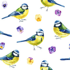 watercolor seamless pattern with blue tit birds and colorful pansy flowers, spring bird, floral pattern on background © Hanna