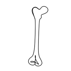 Human bone single continuous one line art drawing