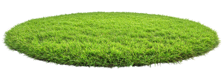 Round patch of fresh green grass isolated on transparent background, png.