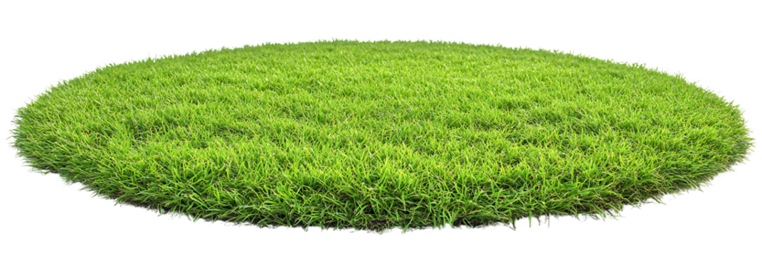 Round patch of fresh green grass isolated on transparent background, png.