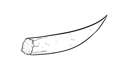 tusk digital illustration drawing isolated