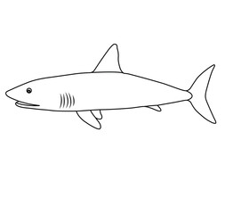 Cute cartoon hand drawn vector shark fish coloring page.