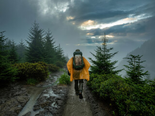 Hiker in yellow raincoat explores misty forest trail at dawn with cloudy skies above