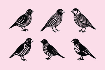 Zebra Finch bird, silhouette vector illustration