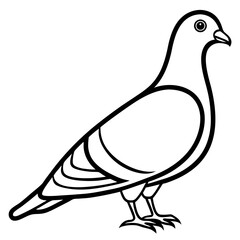 dove of peace