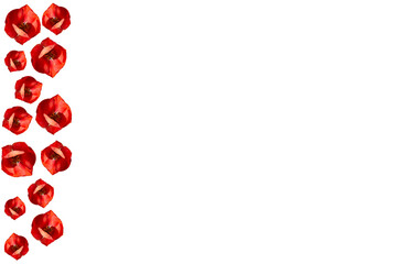 Barra lateral de tulipanes rojos