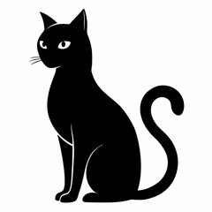 black cat on white background