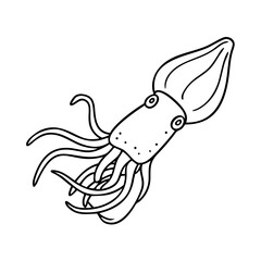 squid icon, squid vector illustration-simple illustration of squid, perfect for squid logos and icons