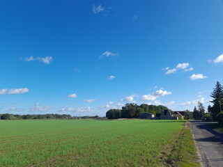 Feld, Wiese, Ackerbau, Straße, Horizont, Himmel, Natur, Landschaft
