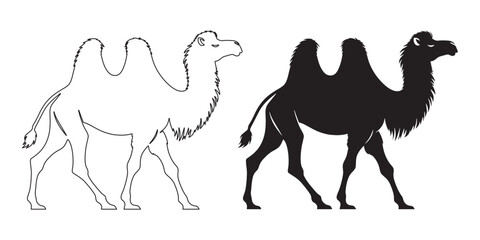 Clean and minimalist camel silhouette vector – sleek design for adventure, desert, and nature themes – camel silhouette – camel vector – camel illustration – minimalist camel outline – camel line art
