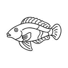 wrasse icon, wrasse vector illustration-simple illustration of wrasse, perfect for wrasse logos and icons