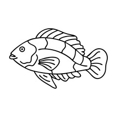 wrasse icon, wrasse vector illustration-simple illustration of wrasse, perfect for wrasse logos and icons