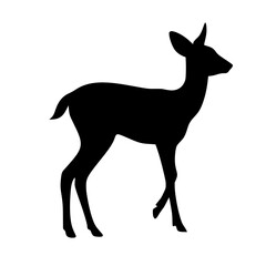 Fototapeta premium silhouette of a deer