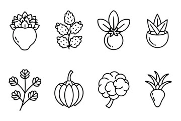 Companion Planting Line Art Enhance Yields Using Plant Partnership Wisdom